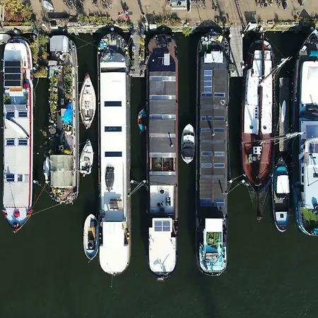 Sailor Coaster Mado Amszterdam