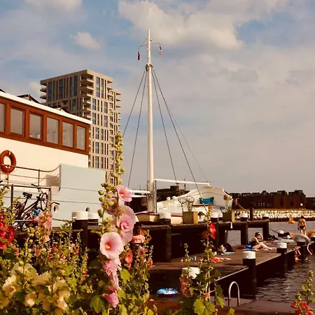 Sailor Coaster Mado *