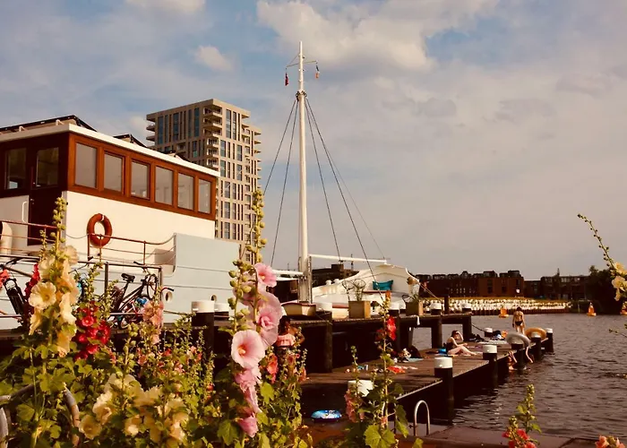 Sailor Coaster Mado *